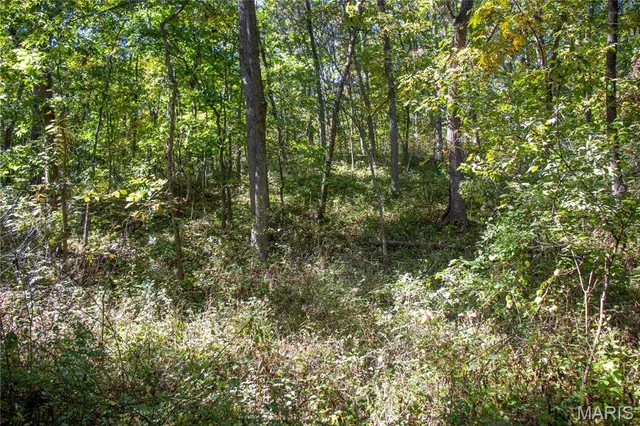 $960,000 | 27232 Z Highway, Canton, MO 63435