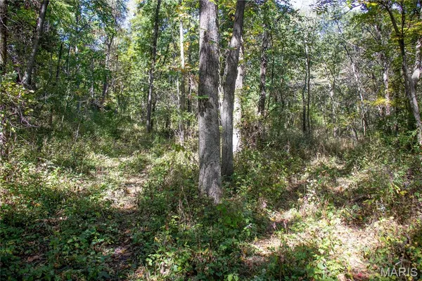 $960,000 | 27234 Highway Z Canton Mo 63435, Canton, MO 63435