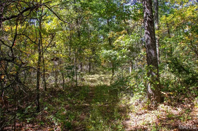 $960,000 | 27232 Z Highway, Canton, MO 63435