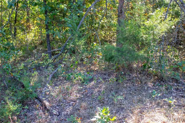 $960,000 | 27232 Z Highway, Canton, MO 63435