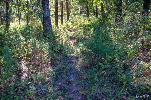 $960,000 | 27234 Highway Z Canton Mo 63435, Canton, MO 63435