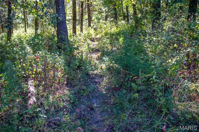 $960,000 | 27232 Z Highway, Canton, MO 63435