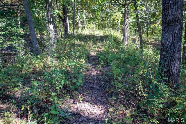 $960,000 | 27232 Z Highway, Canton, MO 63435