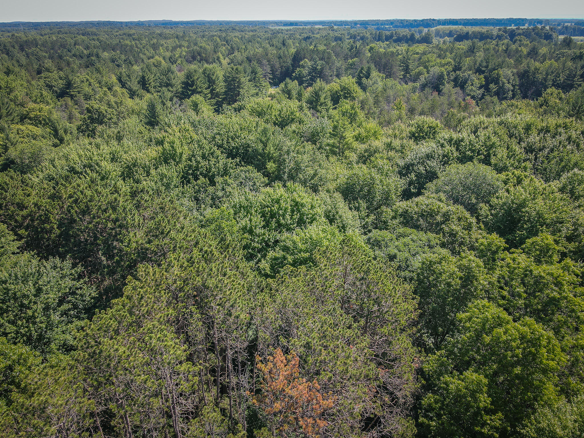 12.5 East A E Garfield Road Hesperia, MI 49421 - Photo 12 of 18 dji_fly_20240624_111930_94_1719242443616