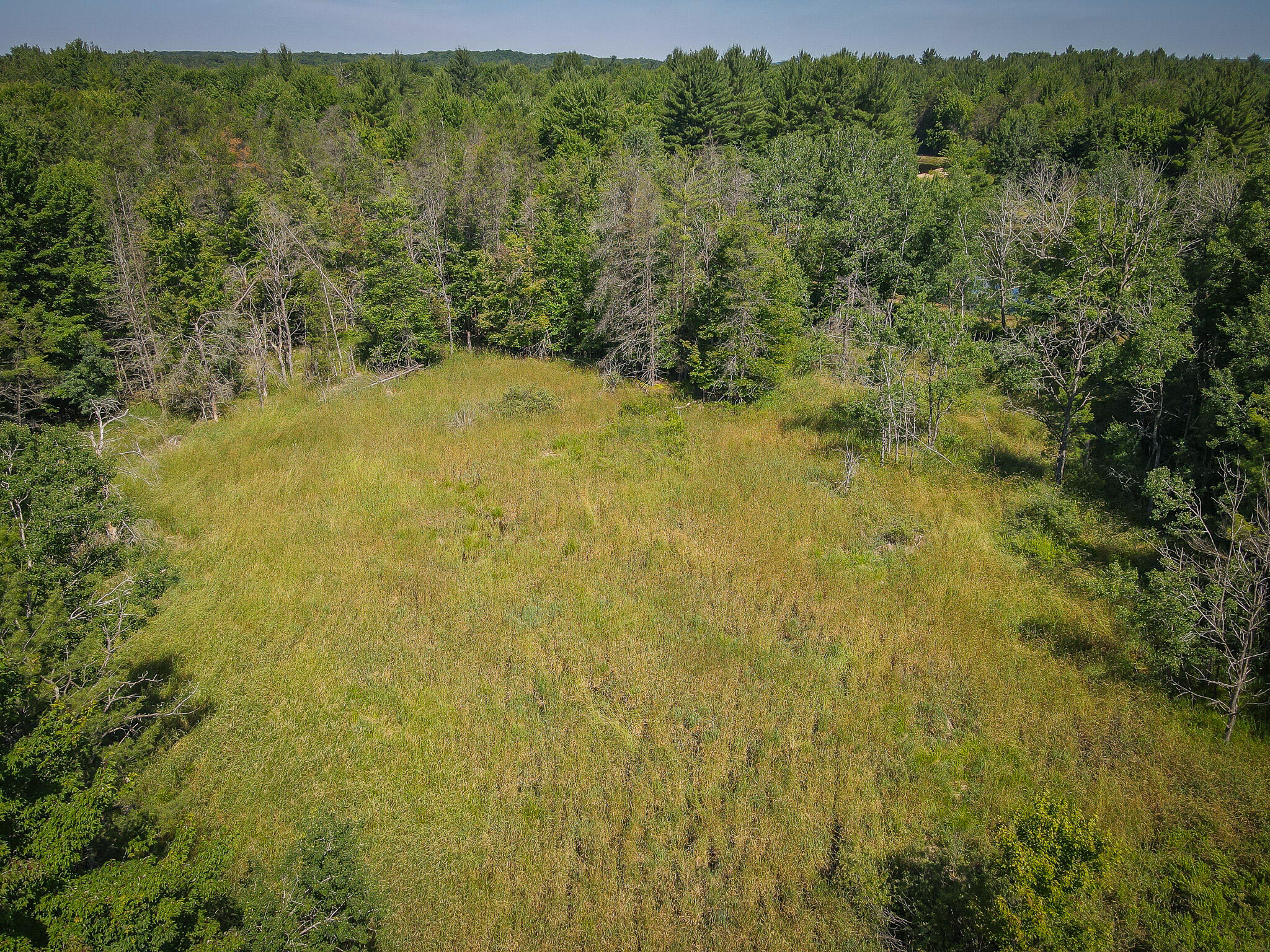 12.5 East A E Garfield Road Hesperia, MI 49421 - Photo 9 of 18 dji_fly_20240624_111814_89_1719242306295