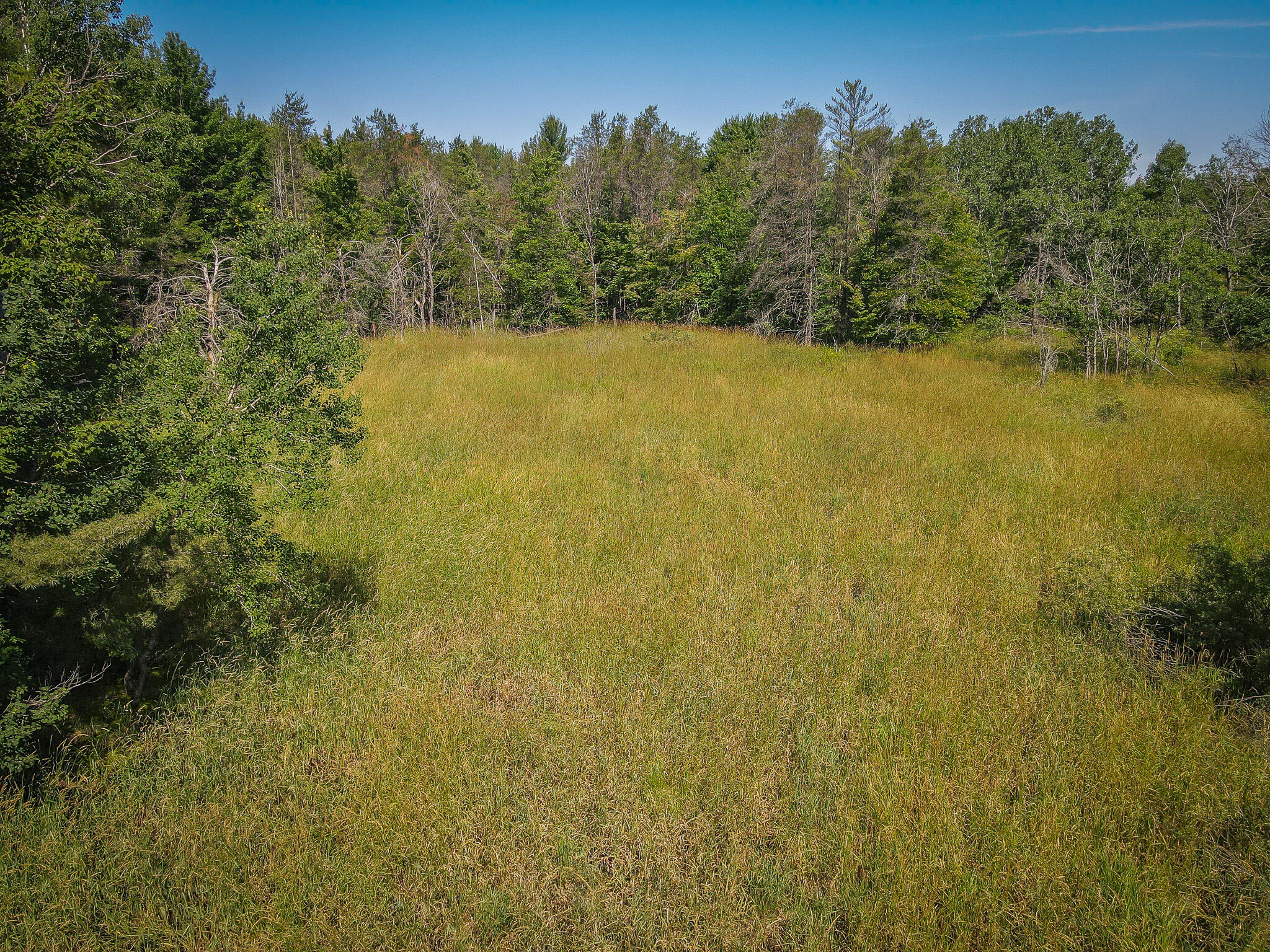 12.5 East A E Garfield Road Hesperia, MI 49421 - Photo 10 of 18 dji_fly_20240624_111826_90_1719242452951
