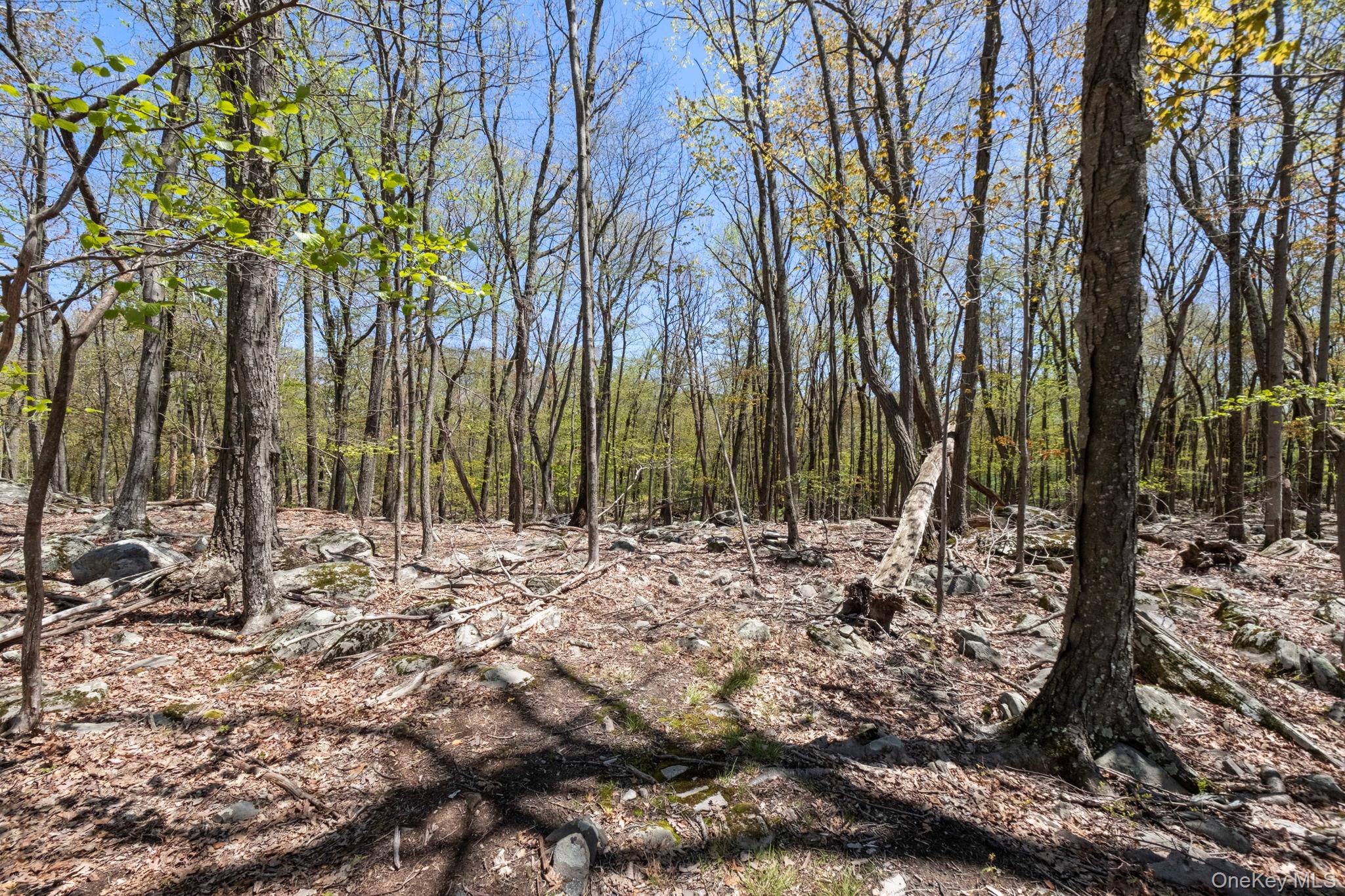 Canal Road Wurtsboro, NY 12790 - Photo 12 of 19
