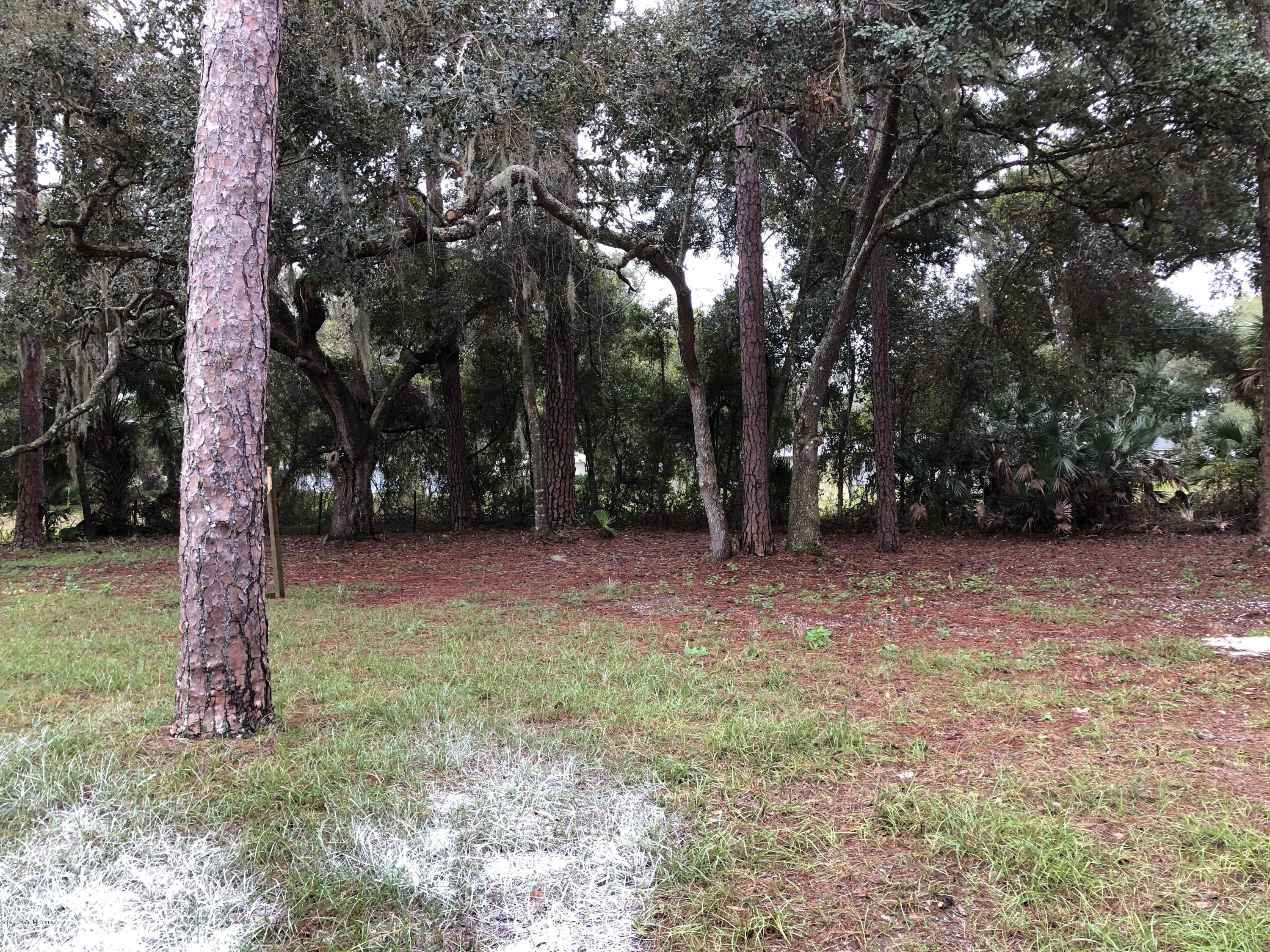 4235 Burkholm Road Mims, FL 32754 - Photo 27 of 30 IMG_2952
