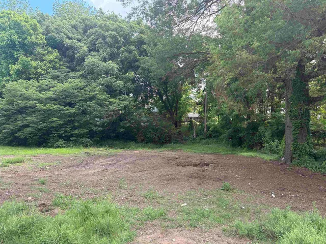 a view of a yard with a tree