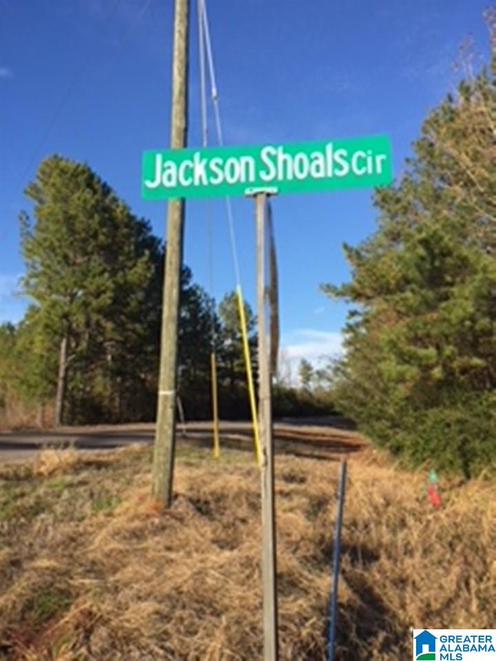 0 Jackson Trace Road, Unit 1 Lincoln, AL 35096 - Photo 4 of 5
