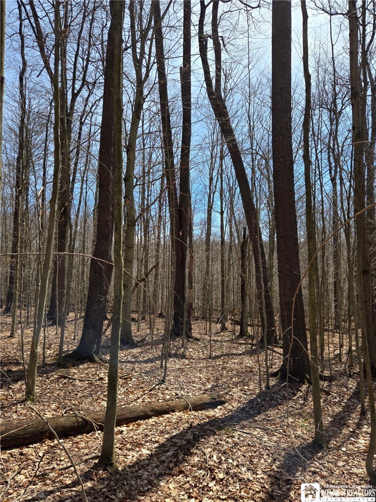 0 West Cobb Road Falconer, NY 14733 - Photo 20 of 49