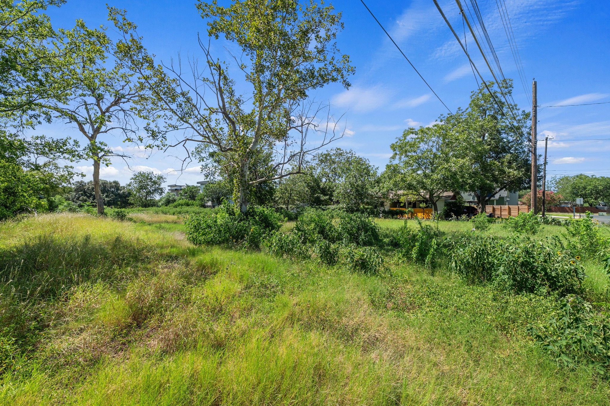 4519 South 3rd Street Austin, TX 78745 - Photo 4 of 18 Gallery Image 4