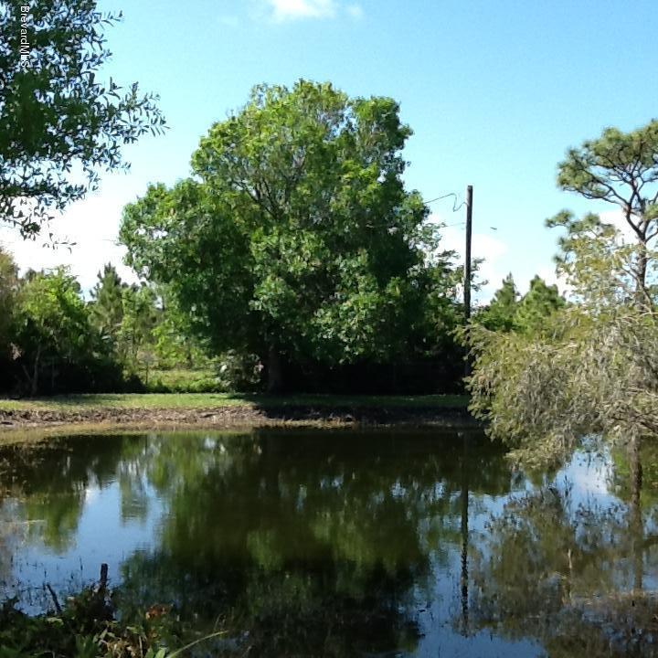 3230 Leg Horn Road Malabar, FL 32950 - Photo 33 of 39 leghorn pic6