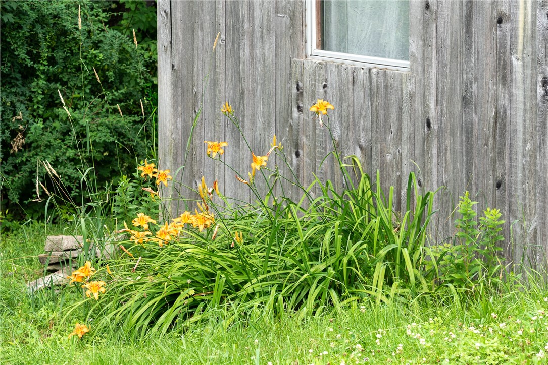 143 Havrish Road Stamford, NY 12167 - Photo 23 of 30