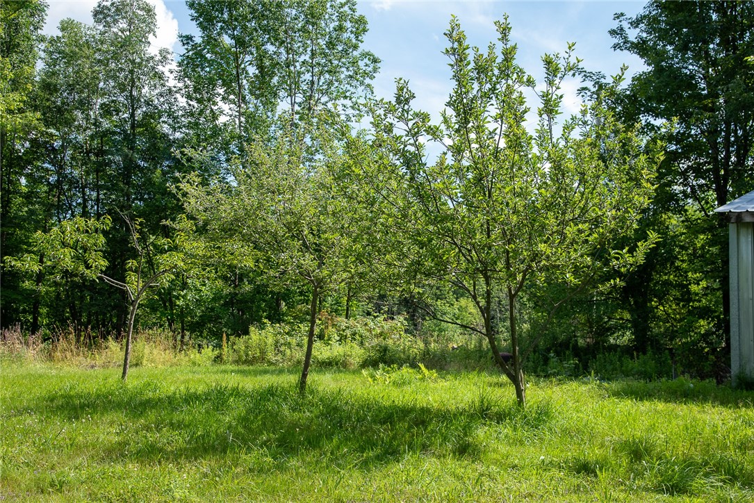 143 Havrish Road Stamford, NY 12167 - Photo 25 of 30