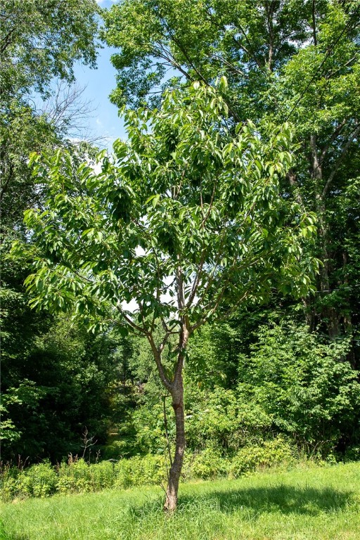 143 Havrish Road Stamford, NY 12167 - Photo 26 of 30