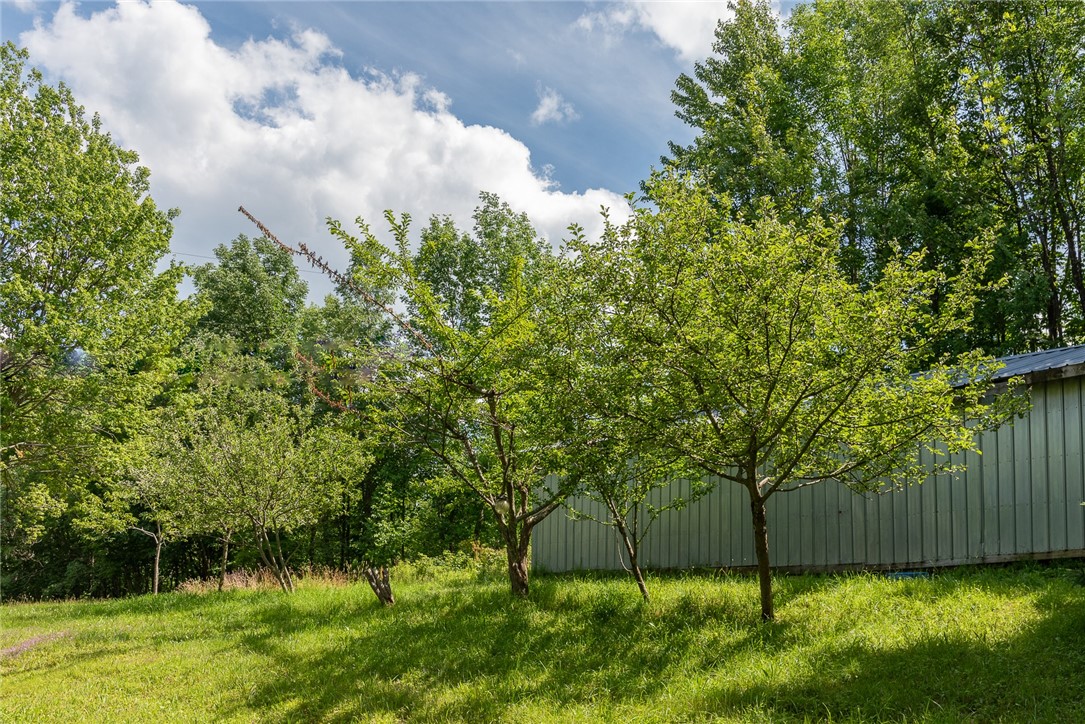 143 Havrish Road Stamford, NY 12167 - Photo 27 of 30