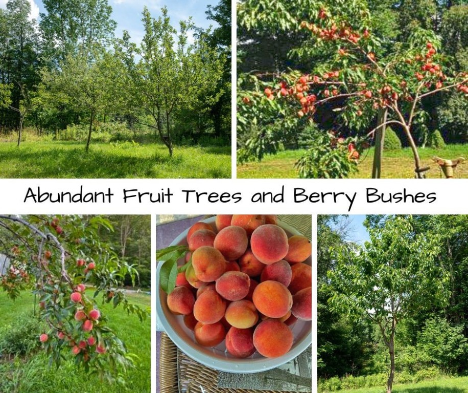 143 Havrish Road Stamford, NY 12167 - Photo 3 of 30