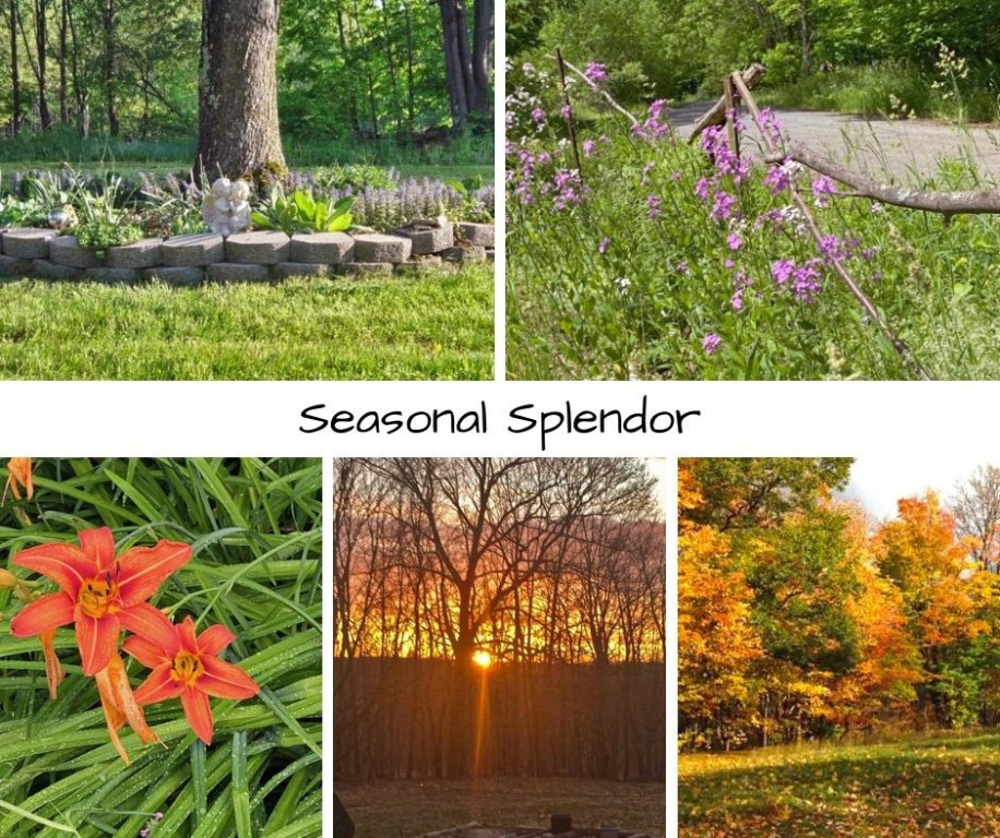 143 Havrish Road Stamford, NY 12167 - Photo 4 of 30