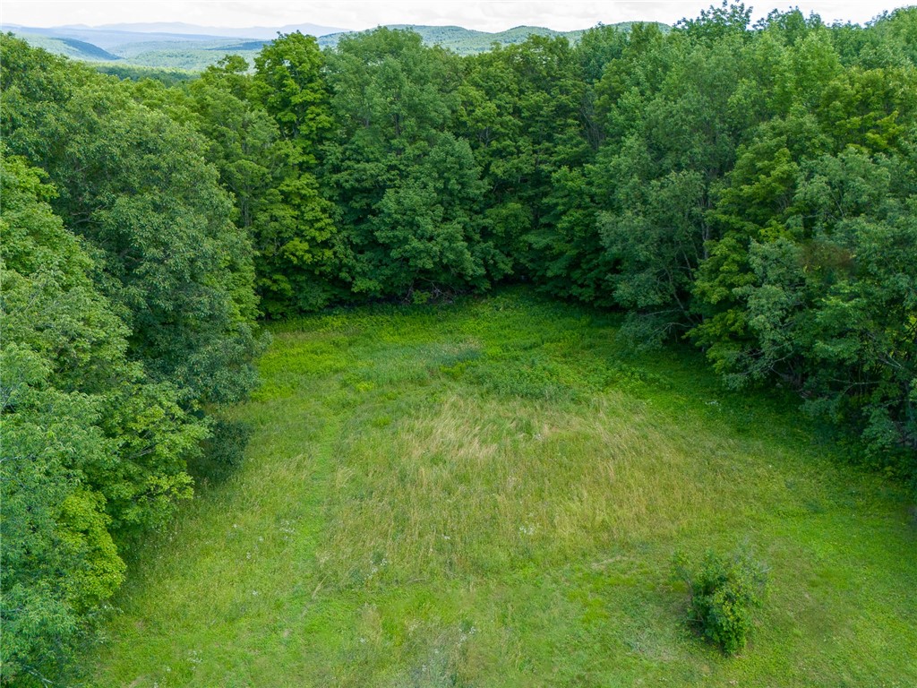 143 Havrish Road Stamford, NY 12167 - Photo 6 of 30