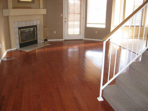 1405 East Mineral Road Gilbert, AZ 85234 - Photo 6 of 6 Family room