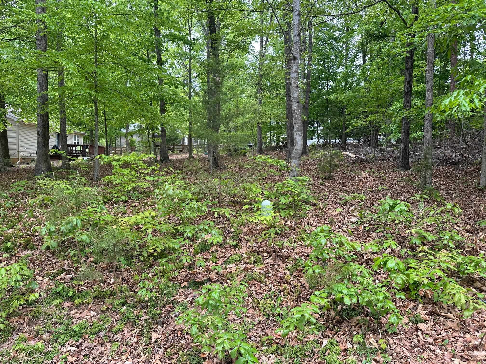 4 East Point Road Palmyra, VA 22963 - Photo 8 of 11 Gallery Image 8