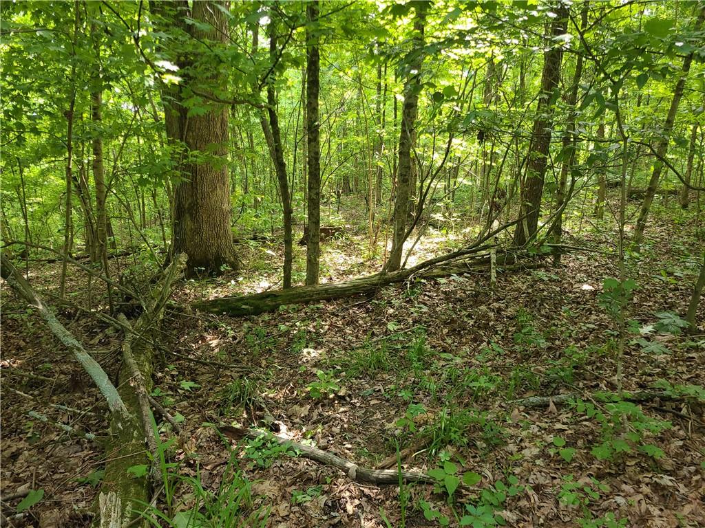 0 Tunnelton Road Bedford, IN 47421 - Photo 26 of 40 Gallery Image 26