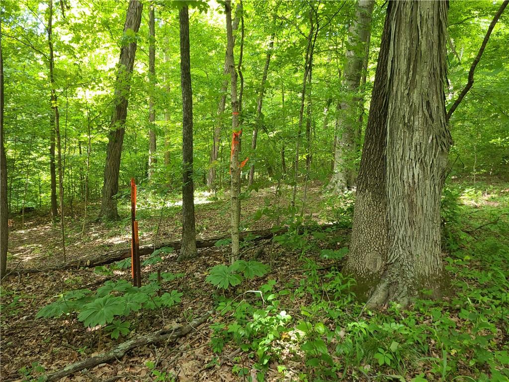 0 Tunnelton Road Bedford, IN 47421 - Photo 8 of 40 Gallery Image 8