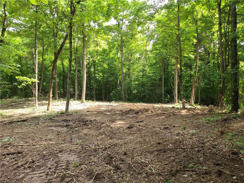 0 Tunnelton Road Bedford, IN 47421 - Photo 10 of 40 Gallery Image 10
