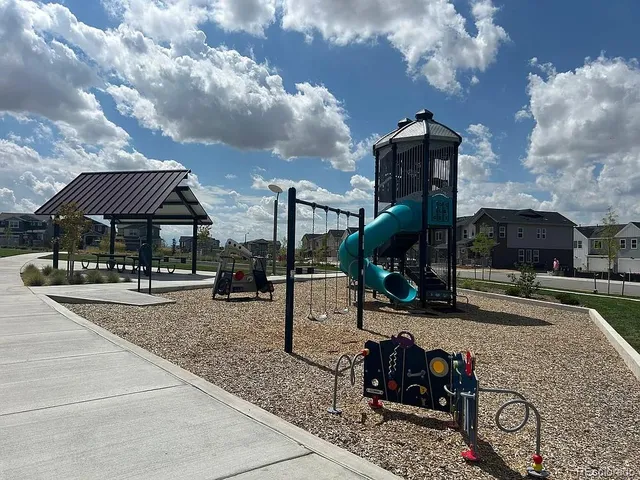 a view of a big yard with a large tree and plants