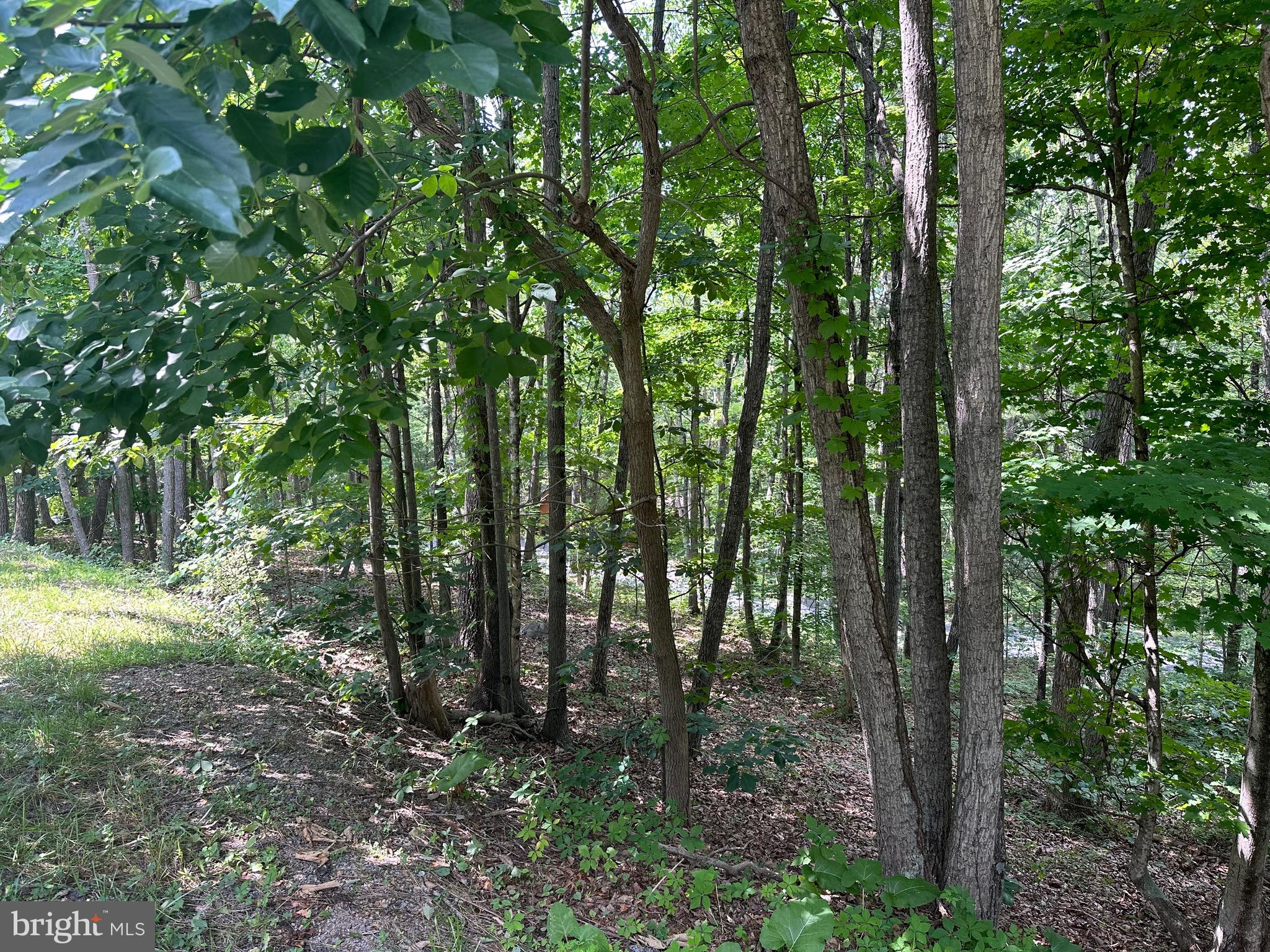 61 Elk Road Mount Jackson, VA 22842 - Photo 1 of 4