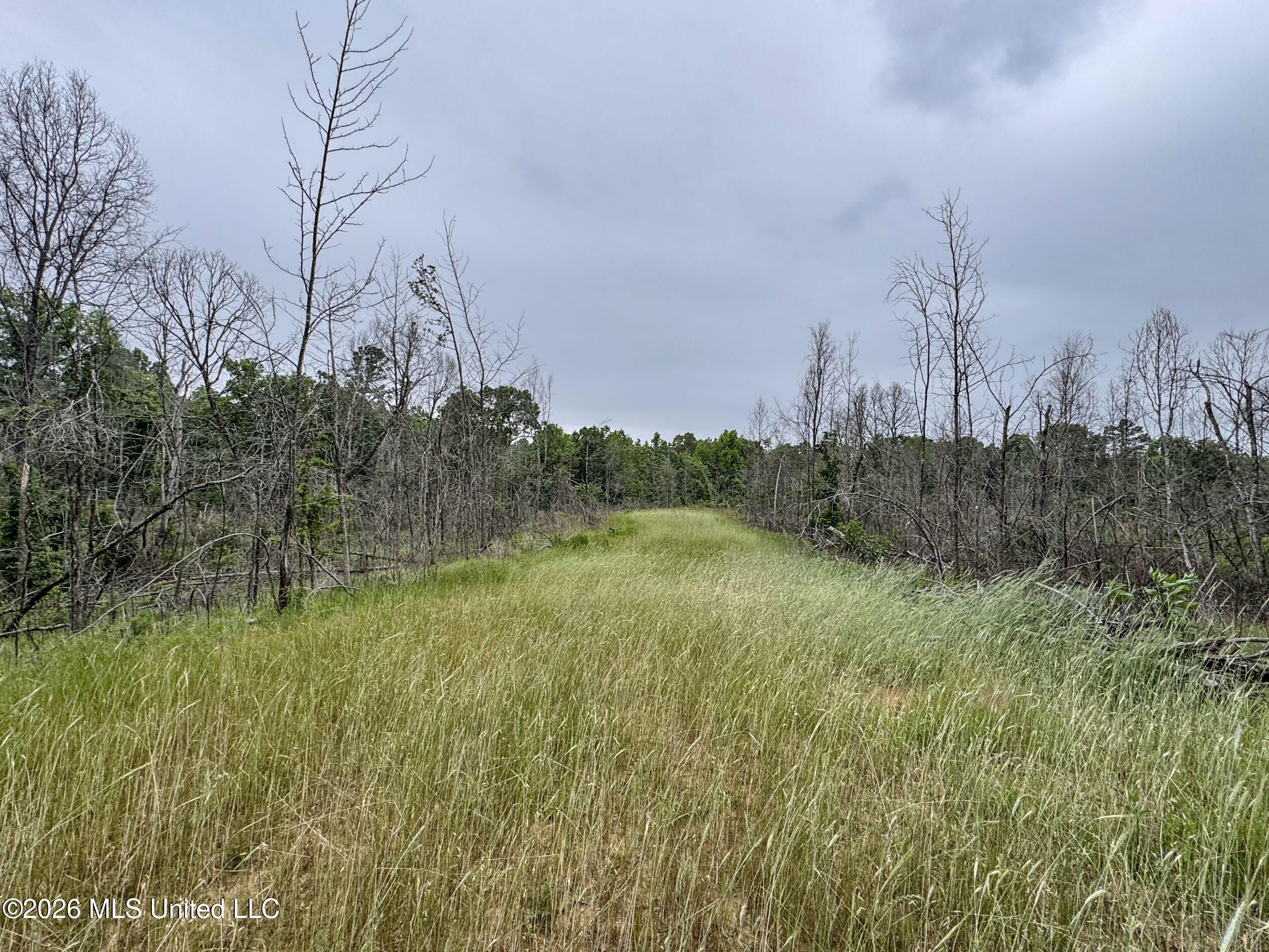 Wayne Massie Road Como, MS 38619 - Photo 178 of 184 5cdtbs128