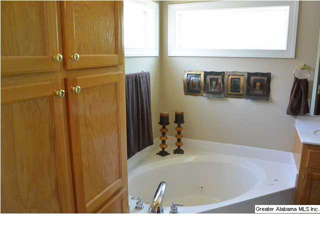 410 Trellis Circle Springville, AL 35146 - Photo 16 of 25