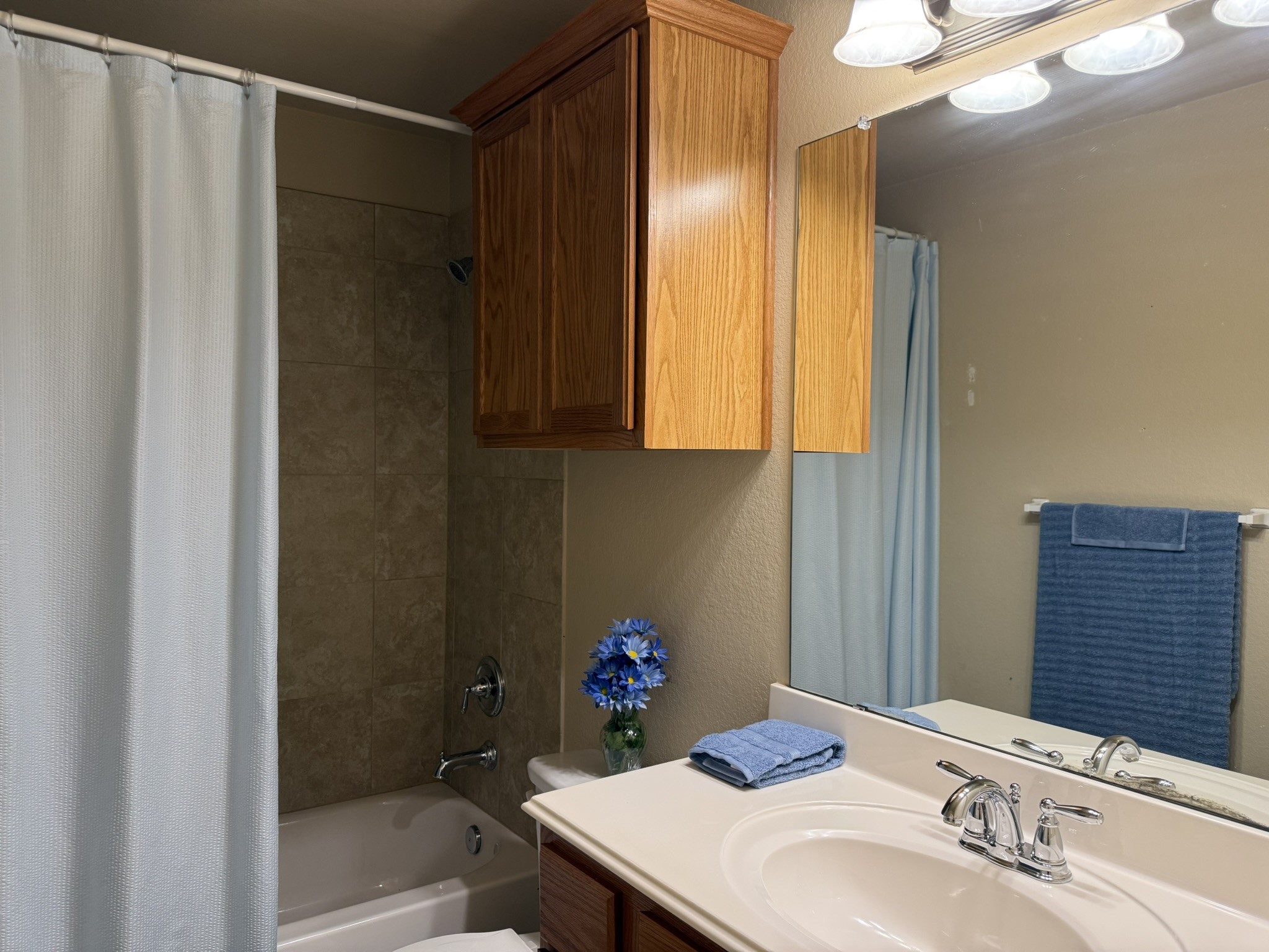 11817 13th Street Santa Fe, TX 77510 - Photo 17 of 23 Hall bathroom with tub/shower combo.