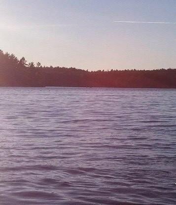 114 Flanders Pond Road Sullivan, ME 04664 - Photo 26 of 27 water