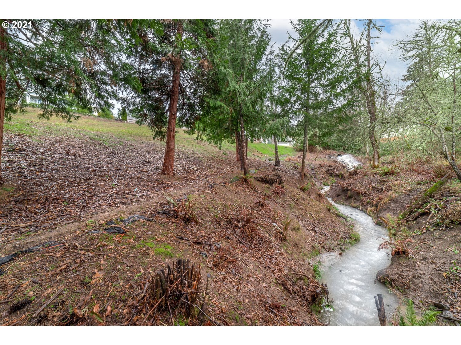 Deertrail Road, Unit LOT45 Eugene, OR 97405 - Photo 14 of 17 Gallery Image 14