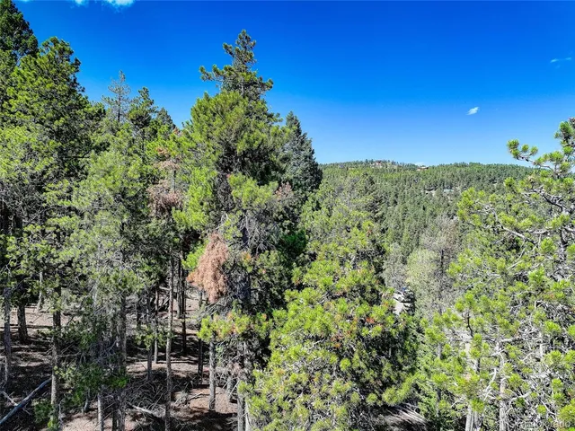 a view of a yard with flower plants