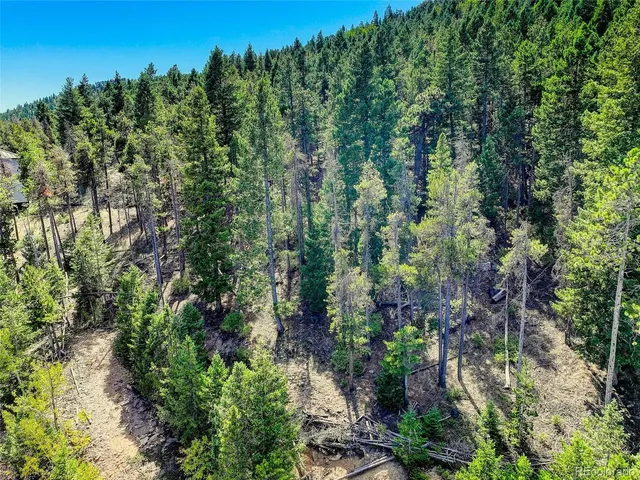 a view of a lush green forest with trees in the background