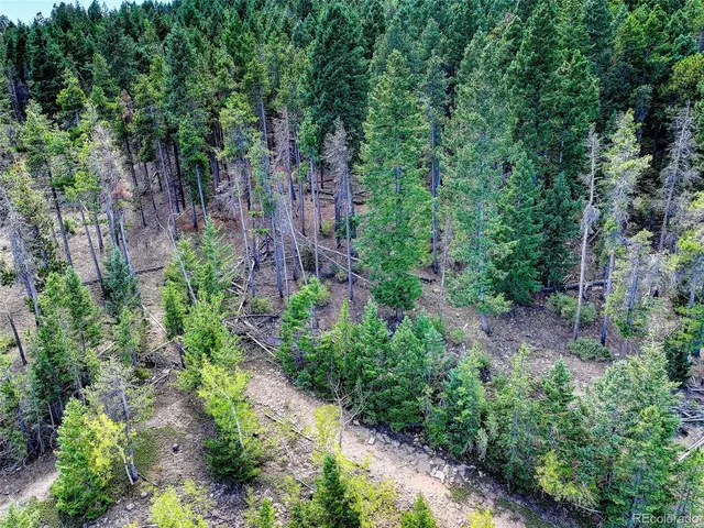 a view of a large trees