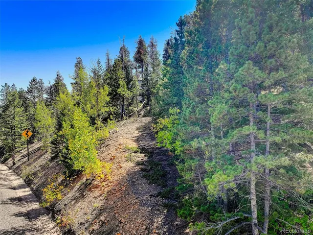 a view of a yard with an outdoor space