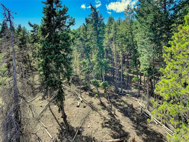 a view of a city with lush green forest