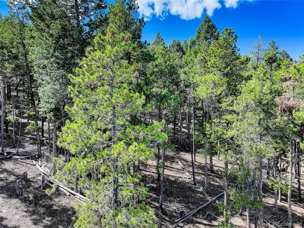 a view of outdoor space and trees
