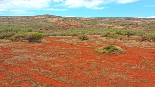 $299,000 | Hao Keehi Place, Maunaloa, HI 96770
