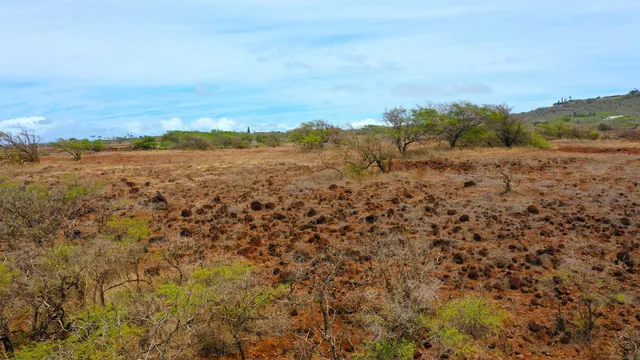 $299,000 | Hao Keehi Place, Maunaloa, HI 96770