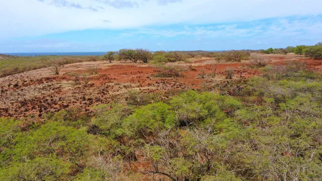 $299,000 | Hao Keehi Place, Maunaloa, HI 96770