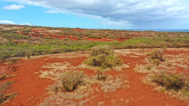 $299,000 | Hao Keehi Place, Maunaloa, HI 96770