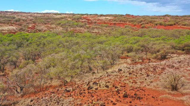 $299,000 | Hao Keehi Place, Maunaloa, HI 96770