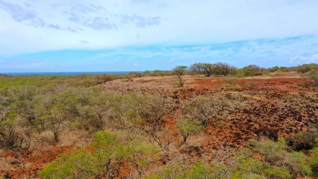 $299,000 | Hao Keehi Place, Maunaloa, HI 96770