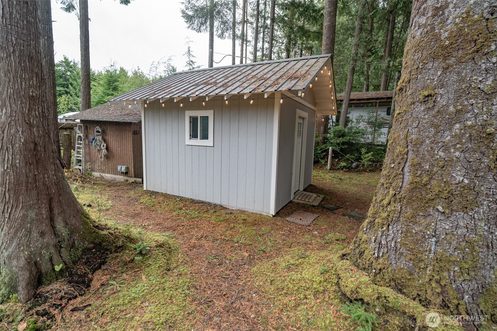 51 Robin Lane Pacific Beach, WA 98571 - Photo 13 of 38