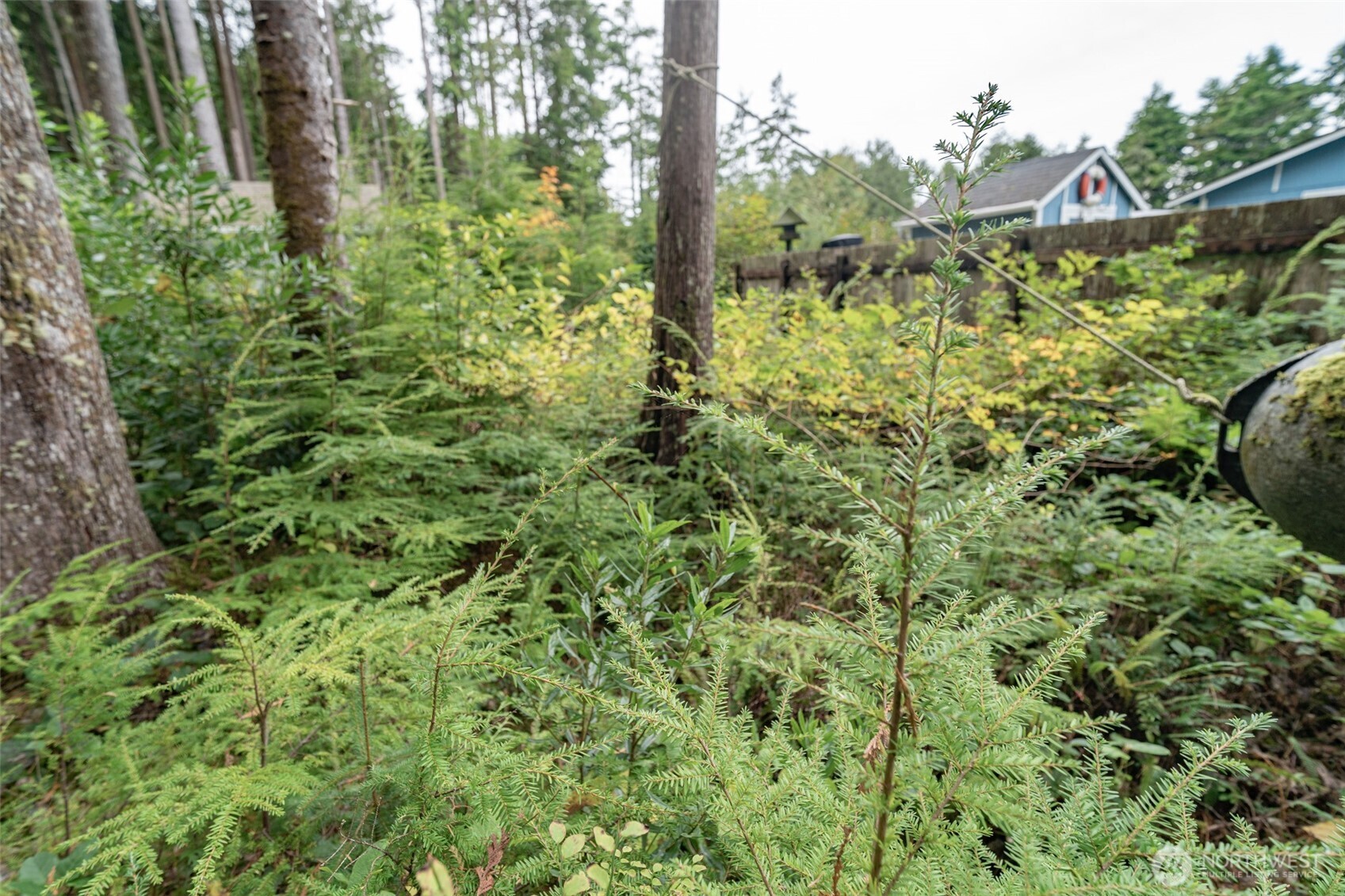 51 Robin Lane Pacific Beach, WA 98571 - Photo 37 of 38